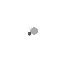 loading_icon